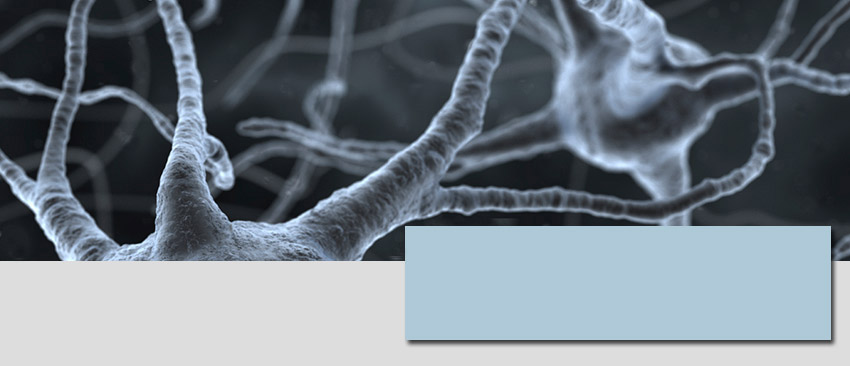Specjalista Neurolog dr hab. n. med. Dariusz Kotlęga
